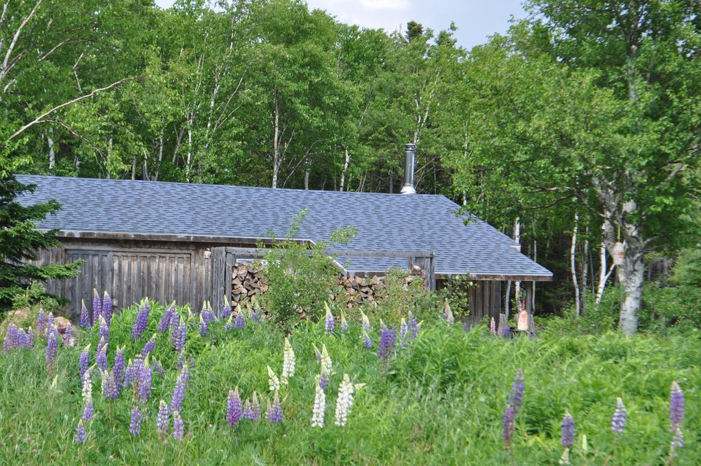 The Sleeping Moose Cottage Birch Plain Exterior foto